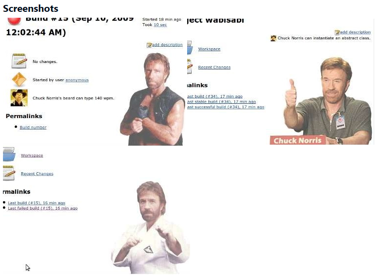 Chuck Norris plugin screenshot